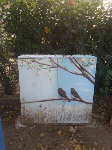 Birds Electric Box Art