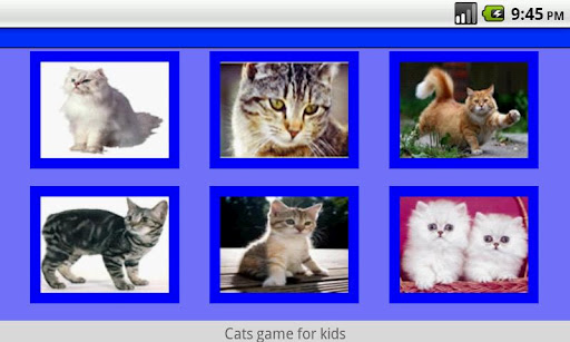Cat Game