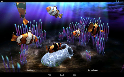 برنامج  خلفيات متحركة 3d لاحواض السمك android D3iUZKrozozVCVCpqf8WUZtdx1j58jQ6Cb-P1s6fDuu3lxxZ4RftD76etgkSSGNVJ-Q