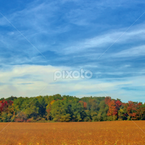Colour Between the Lines  by Judee Schofield - Landscapes Cloud Formations