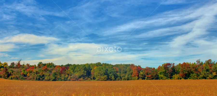 Colour Between the Lines  by Judee Schofield - Landscapes Cloud Formations