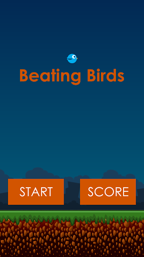 Beating Birds