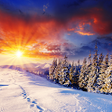 Winter Live Wallpaper HD FREE logo