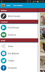 North American Birds Sounds(圖8)-速報App