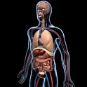 Human Anatomy Dictionary icon
