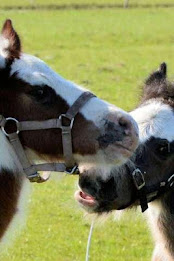 corner puzzle poster 4