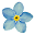NoMeOlvides Plus Download on Windows