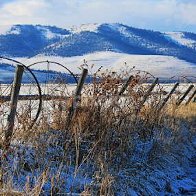 field by mountains and hills by Tiecha Broussard - Landscapes Prairies, Meadows & Fields