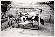 Landbouwcombinatie Finsterwolde