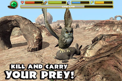 Owl Simulator(圖4)-速報App