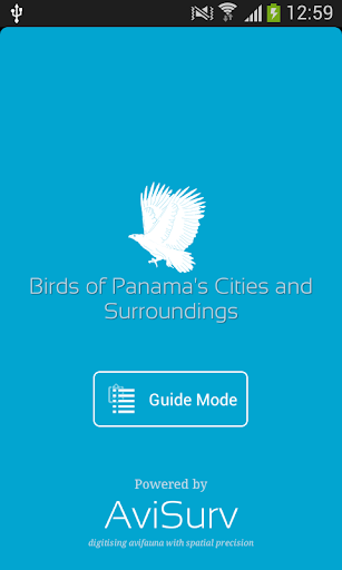 Birds of Panama's Cities