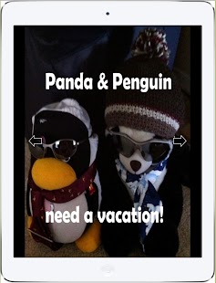 Download Panda & Penguin need vacation APK