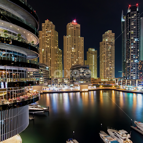 Marina Lights by Scott Lorenzo - City,  Street & Park Night