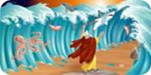 images_002