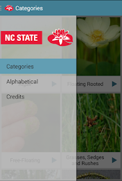 Aquatic Plants poster 1