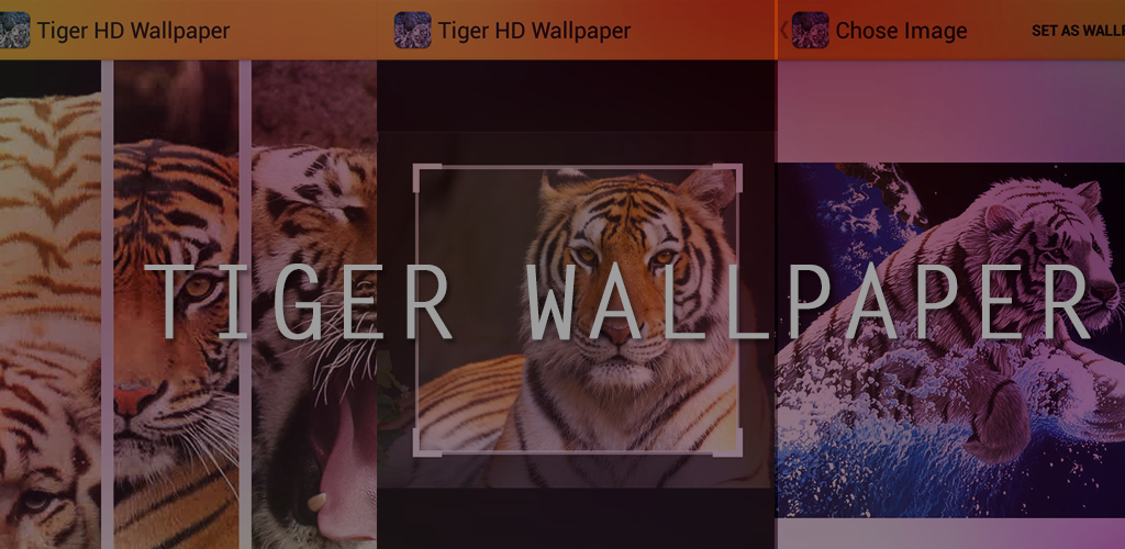 Tiger приложение