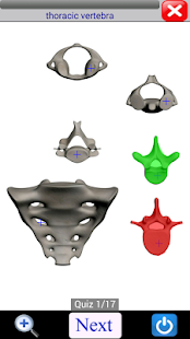 Visual Bones(圖7)-速報App