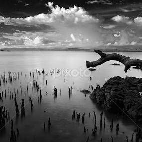 KABONGA DONGGALA by Hajar Wisnu Dwiputra - Black & White Landscapes