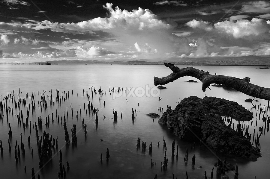 KABONGA DONGGALA by Hajar Wisnu Dwiputra - Black & White Landscapes