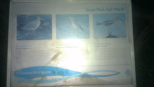 Scott Park Threatened Bird Species Information Map