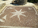 The Starfish Mosaic