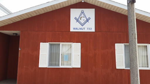 Masonic Temple Walnut IL 722