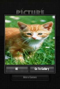 Download Picture Puzzle APK