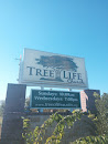 Tree of Life Church
