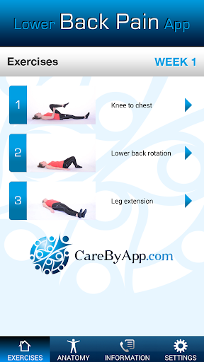 Lower back pain app