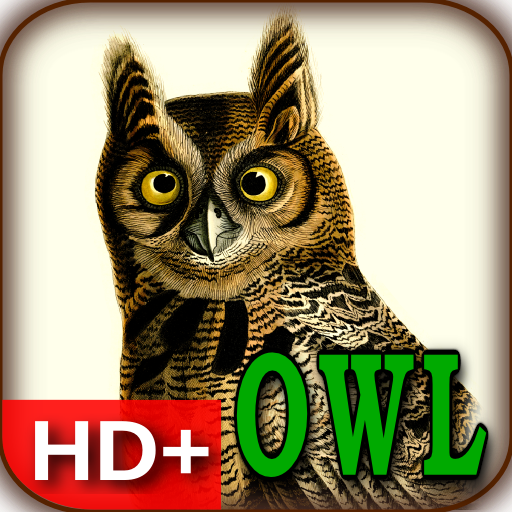 Audubon's OWLS HD+ Wallpaper LOGO-APP點子