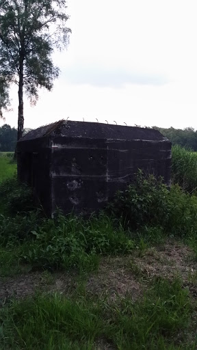 WII Bunker IV