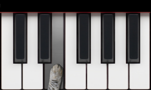 Cat Piano Memory Game(圖5)-速報App