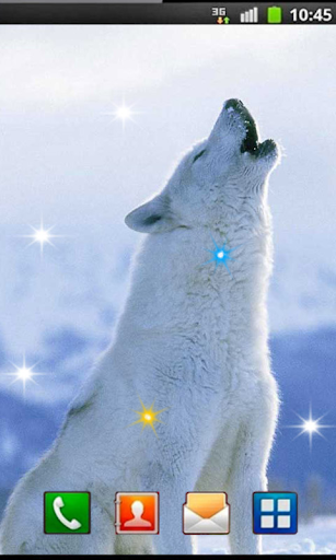 Wolf Song HD live wallpaper