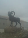 Ram Sculpture