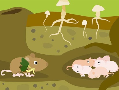  BioMio - My First Biology App  