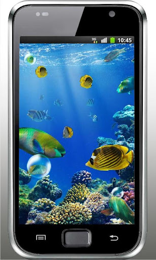 Killer Fish 3D Live wallpaper