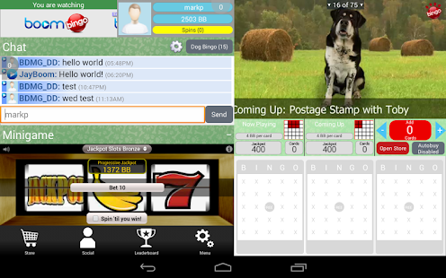 Dog Bingo HD Screenshots 7