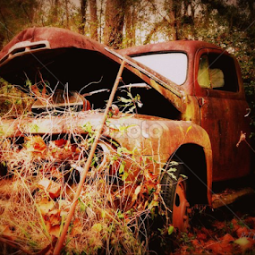 by BJ Williamson - Transportation Automobiles