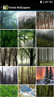 How to install Forest Wallpapers lastet apk for pc