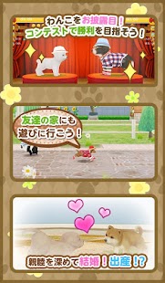 download てのひらワンコ　★スマホでわんこ育成★ free