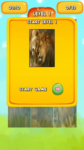 【免費解謎App】Lion Jigsaw Puzzles-APP點子