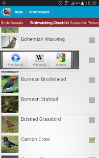 Asian Birds Sounds Free(圖3)-速報App