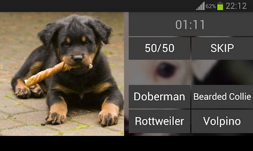 Guess the puppy Screenshots 8