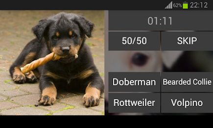 Guess the puppy poster 9