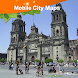 Mexico City Street Map