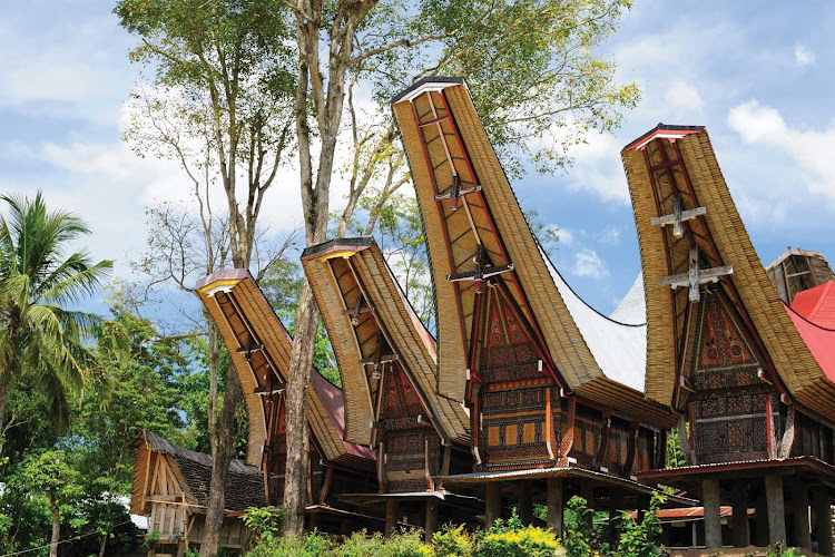 Explore a traditional Toraja village when you sail to Indonesia aboard Silver Discoverer. The Toraja, an ethnic group indigenous to a mountainous region of South Sulawesi, are known for their boat-shaped houses and elaborate burial ceremonies.  
 

