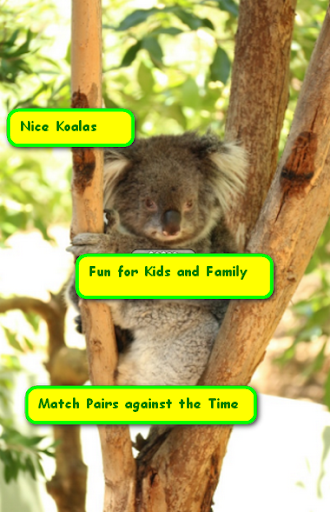 Free Fun Koala Game for Kids