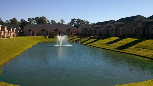 The Palms Fountain