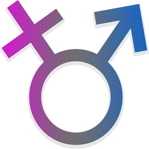 Genderslator 1.0