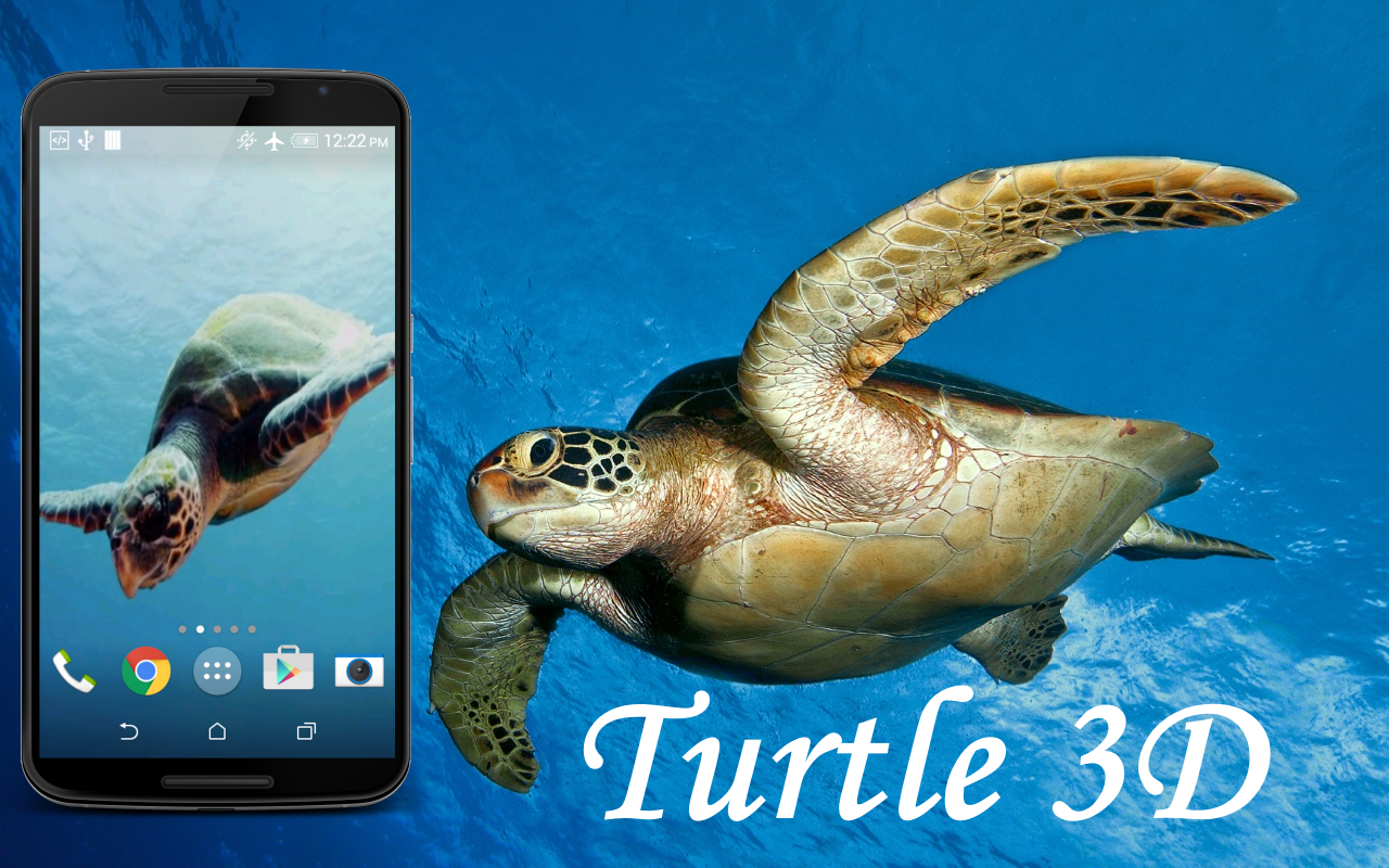 Turtle 3D Live Wallpaper - Android Apps on Google Play